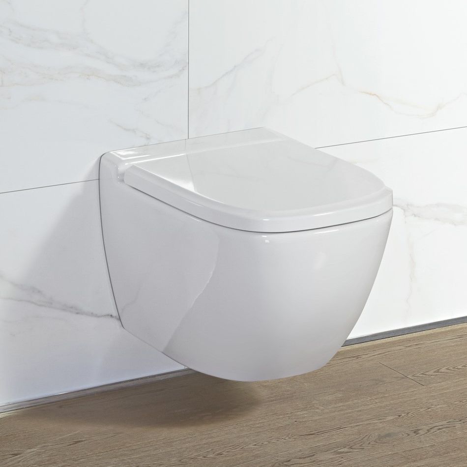 Antheus wall-mounted Washdown toilet