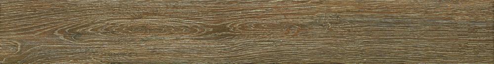 Mercury 14x115 - Dark Beige