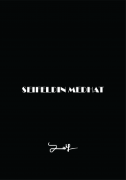 Seifeldin Medhat Wallpaper Collection