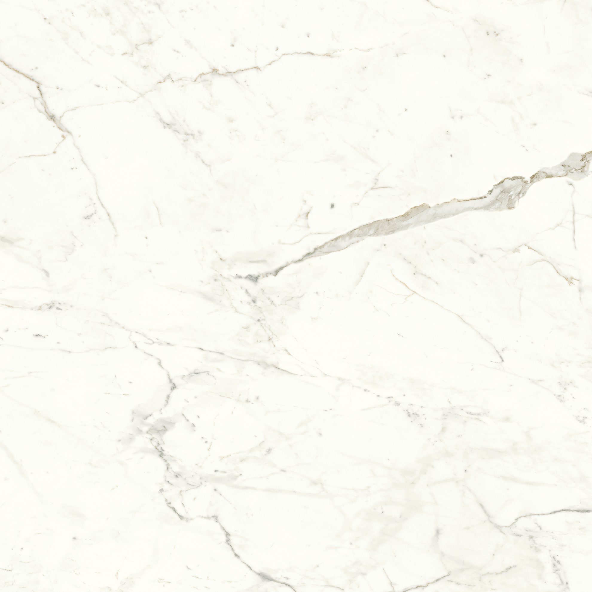 MARVEL SHINE A4Q9