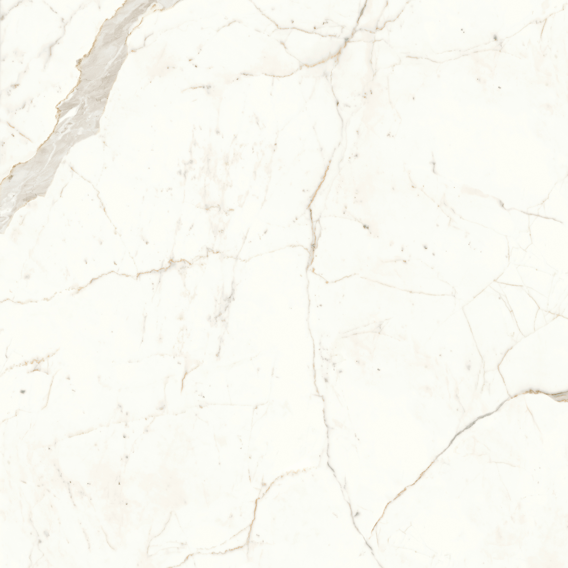 MARVEL SHINE A4Q9