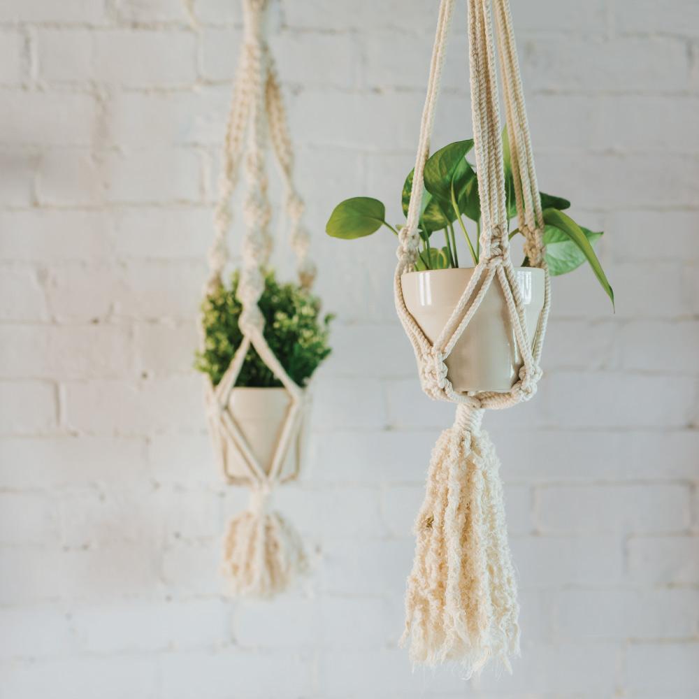 Calumba Wall Hanging Planter