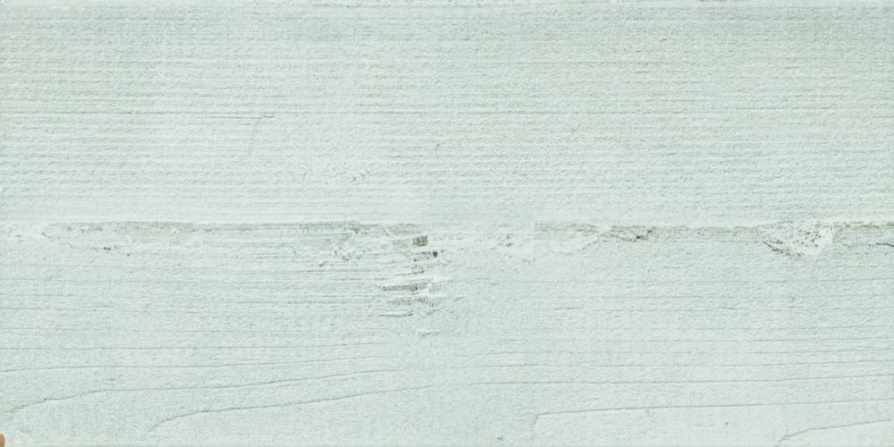 Fantasia 30x60 - Grey 1