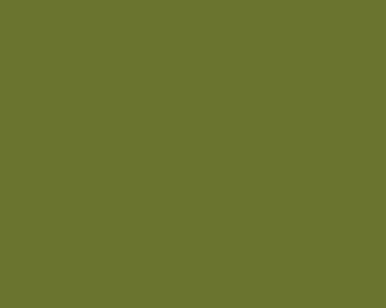 P111 Olive Green