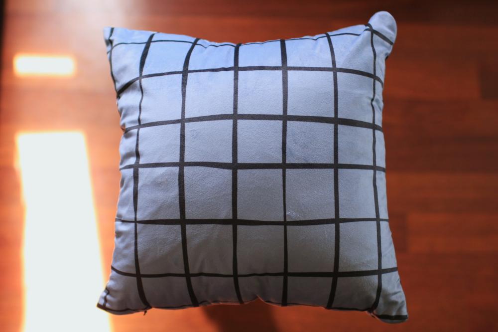 Lure cushion