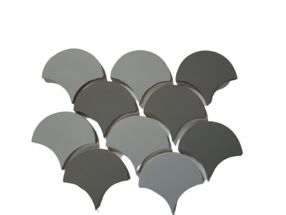 fish scales