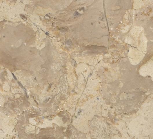Breccia