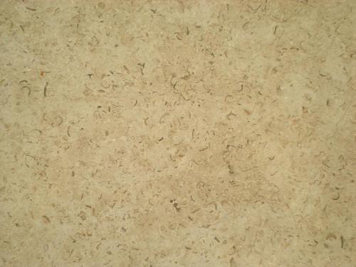 Terista Beige