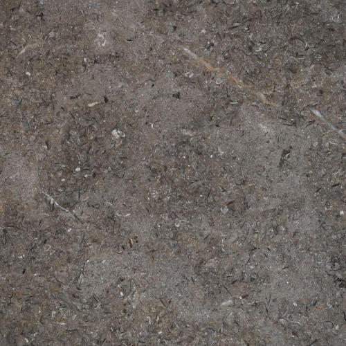 Terista Grey