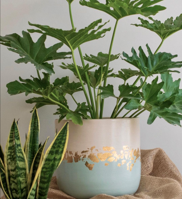 Rustic Gold Mint Blue Pot