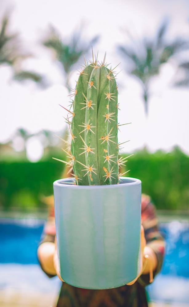 Baltic Blue Cylinder Pot