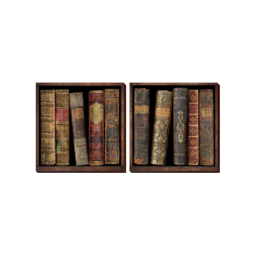 2 Piece Book Shelf Wall Art Photo Block