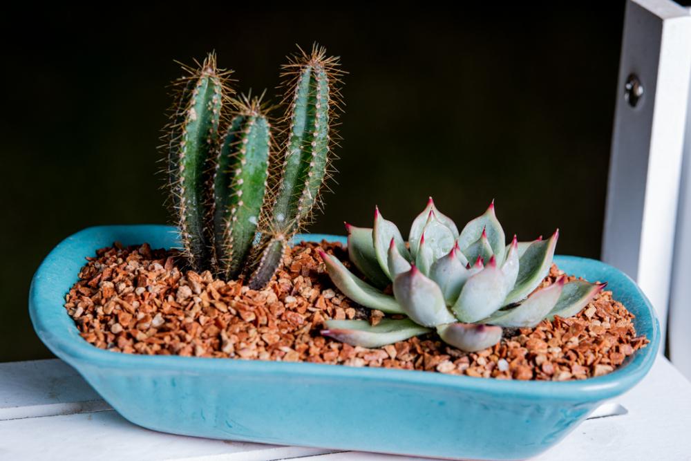 Plant pot