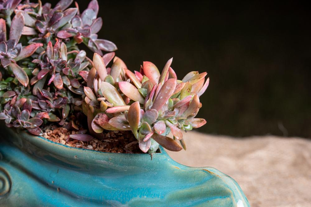 Set of 2 pots