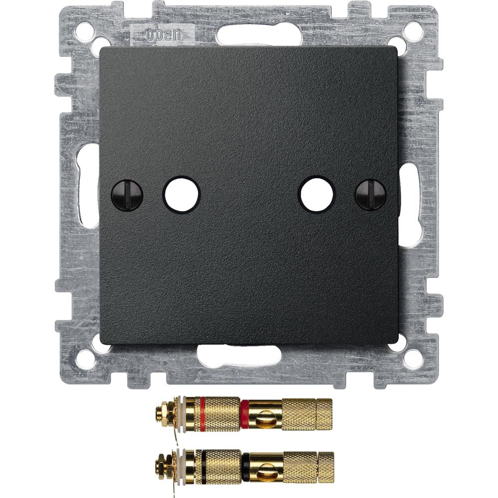 Central plate with high-end loudspeaker connector, anthracite, System M