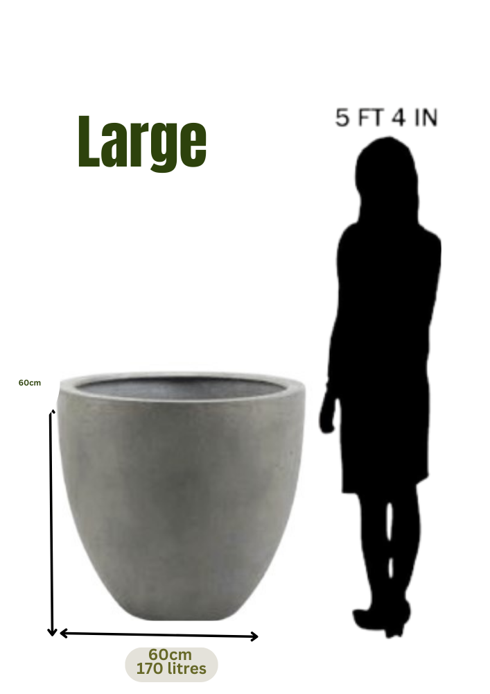Gold Beige Fiber glass Pot 60Dx60Hcm
