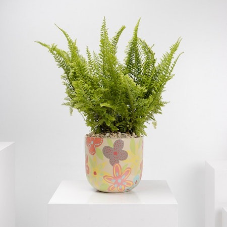 Floral Pot