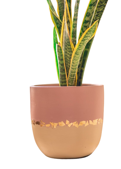 Rustic Gold Dusty Pink Pot