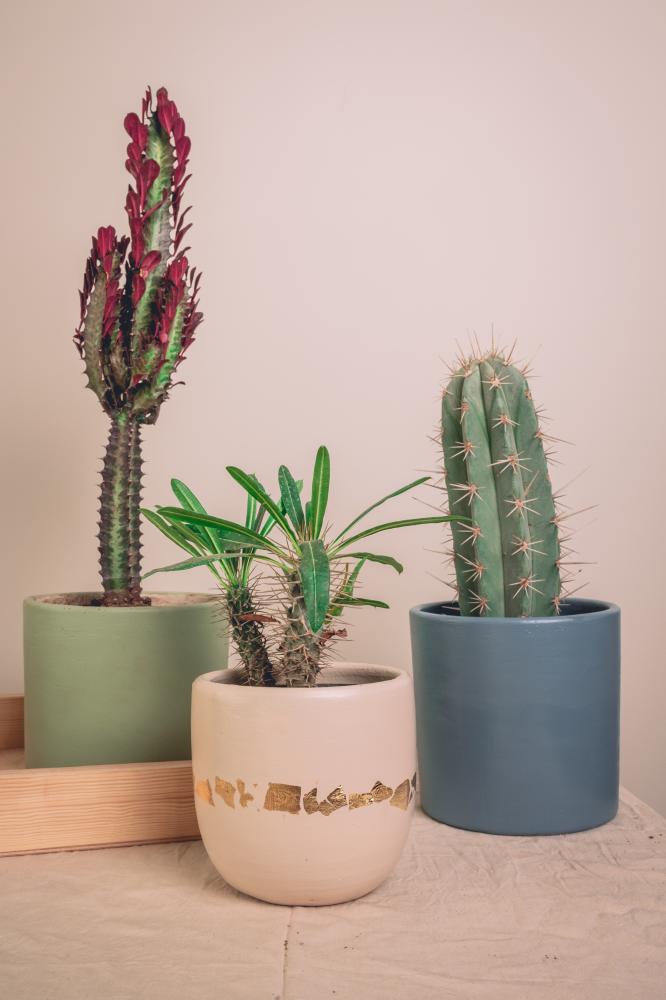 Set of 3 small pots