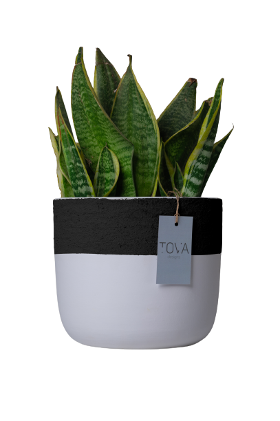 Rigid Snow Black Pot