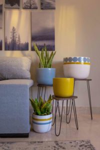 Mustard Tova Pot