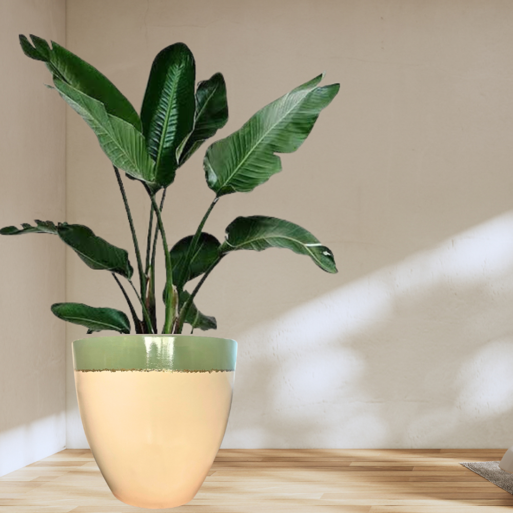Gold olive Fiberglass Pot