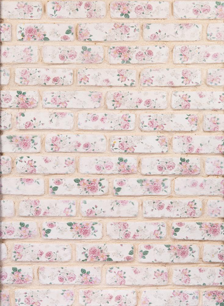 My Bricks-Rosie