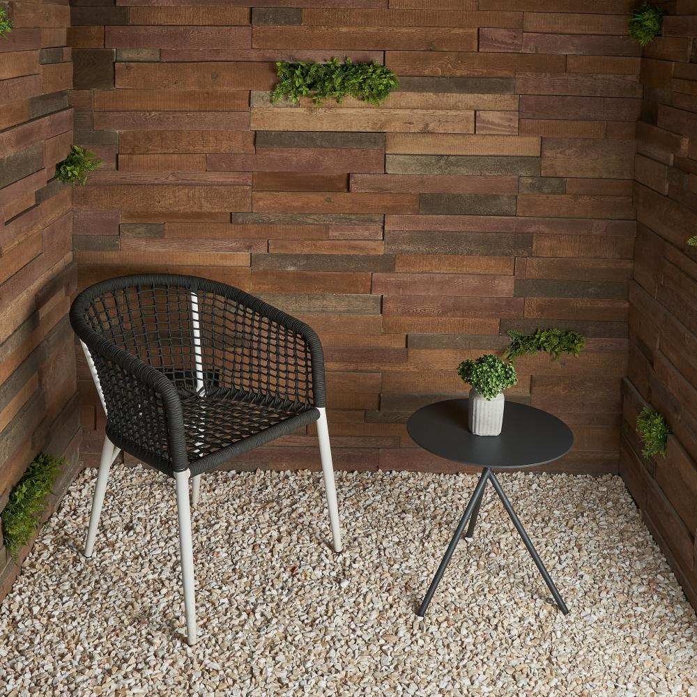 Palm Wood-Walunt