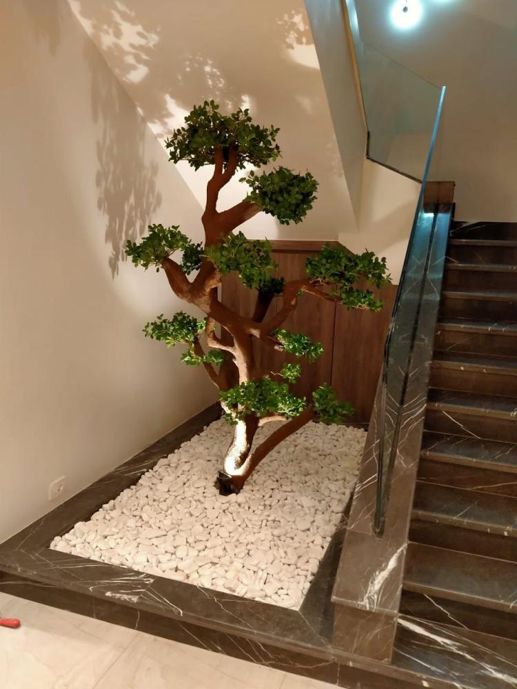 Bonsai tree 200cm