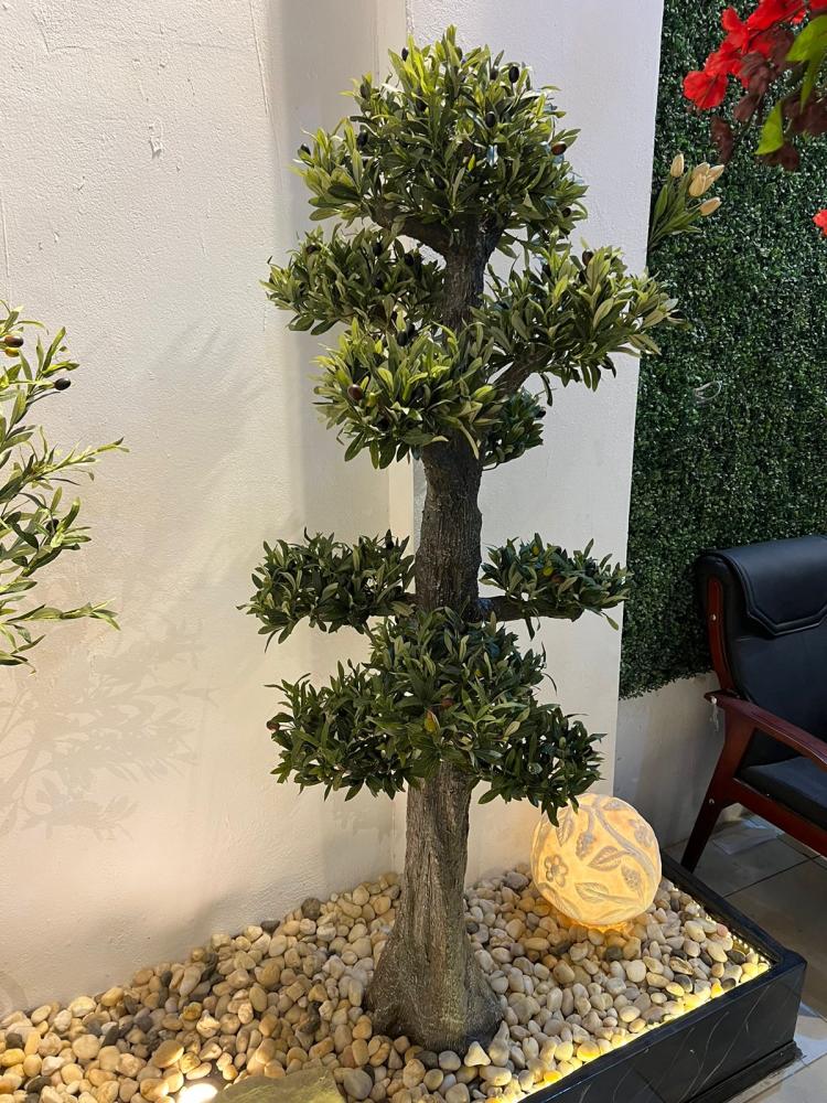 Bonsai tree 200cm