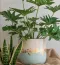 Rustic Gold Mint Blue Pot