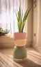 Rustic Gold Dusty Pink Pot