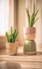 Rustic gold Desert-Beige Pot