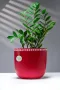 Devine Red Dots Pot