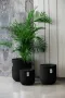 Fiber Glass black Pot 36Dx36Hcm