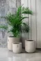 Fiber glass Beige pot 36Dx36Hcm