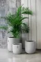 Fiber Glass Light Grey Pot 36Dx36Hcm