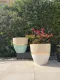 Gold Beige Fiber glass Pot 60Dx60Hcm