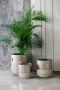 Fiber glass metallic Beige pot 50Dx55Hcm