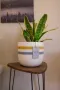 Urban Striped Pot